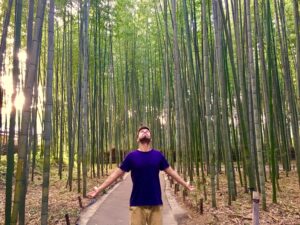 bosque bambu arashiyama viajes a medida y viajes de novios