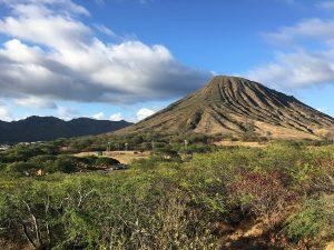 Visitas imprescindibles en Oahu