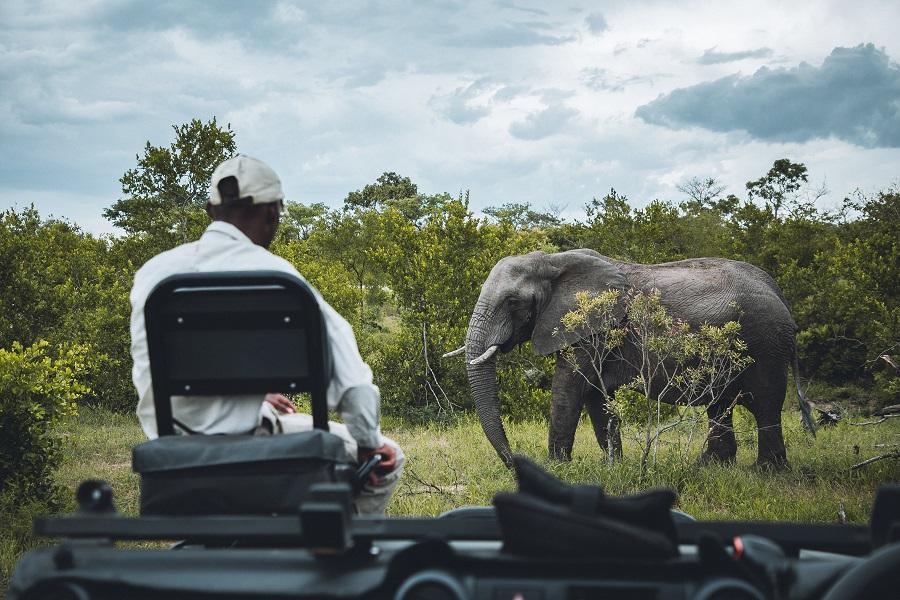 Parque Nacional Kruger ¿por qué elegir una reserva privada?