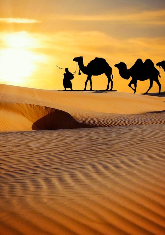 Marruecos: En Busca de sus SS.MM. Los Reyes Magos