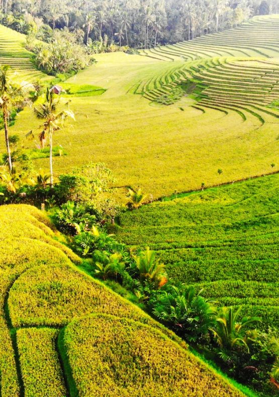 Isla de Bali con Maldivas