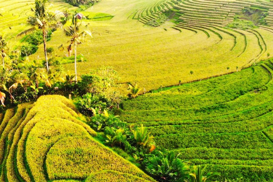 Isla de Bali con Maldivas