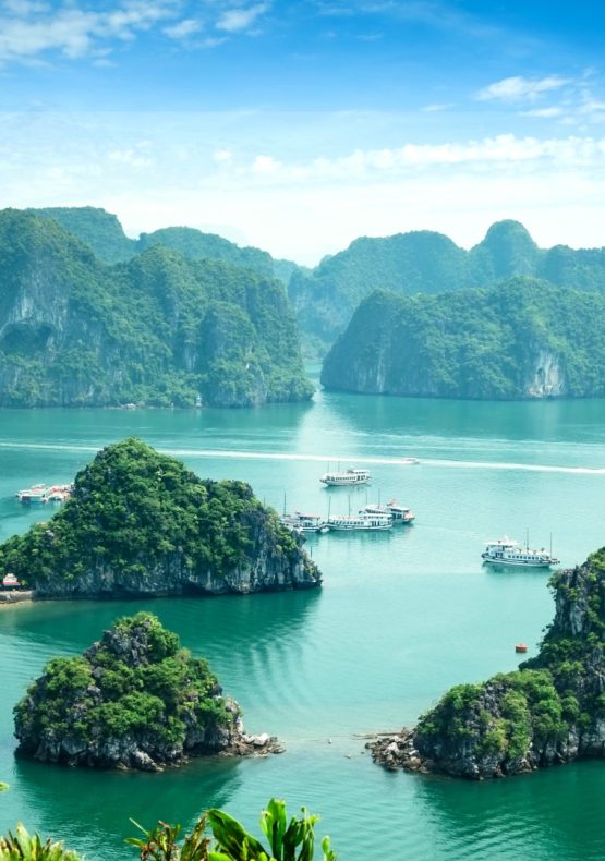 Norte y centro de Vietnam, Camboya y Tailandia