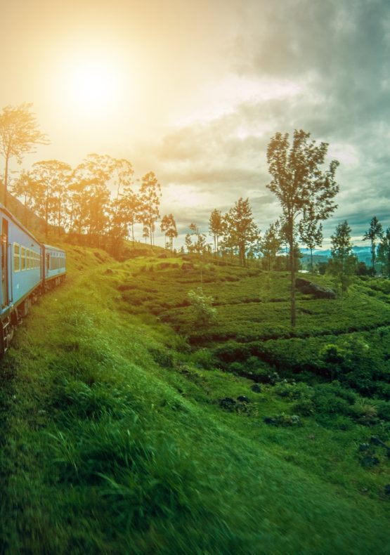 Sri Lanka con Maldivas
