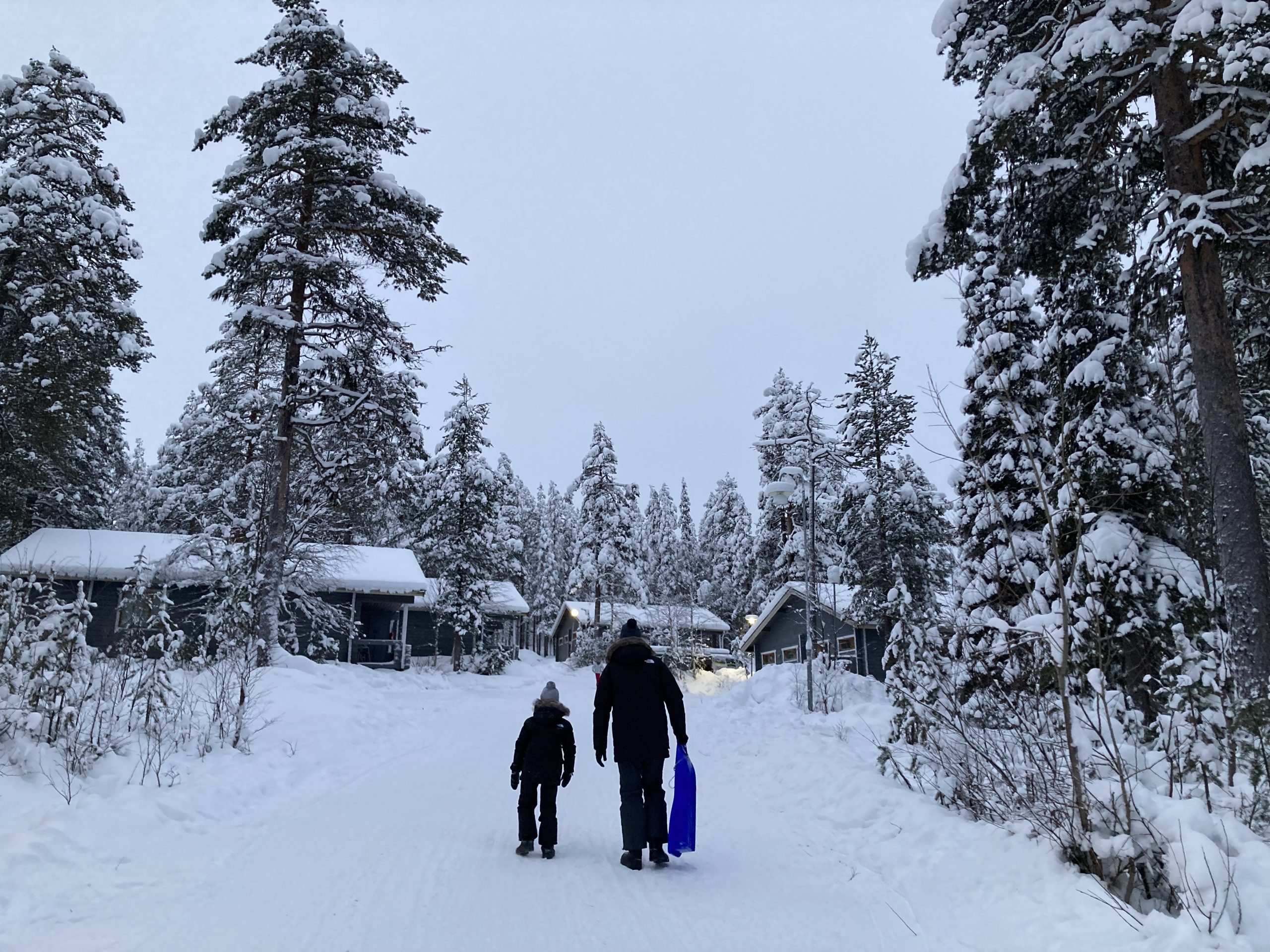 Paseo en Laponia