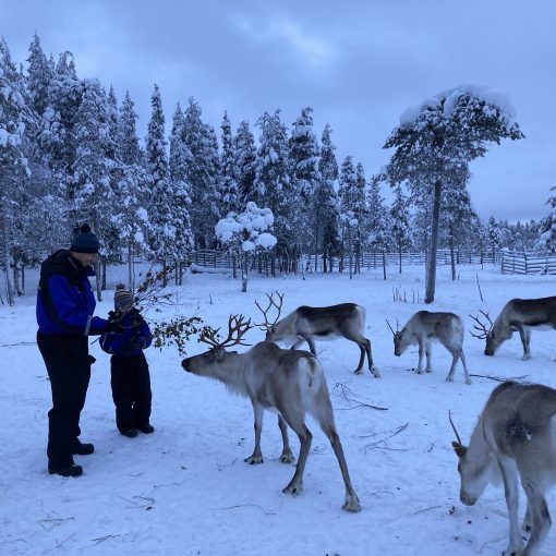 Nuestro Viaje a Laponia
