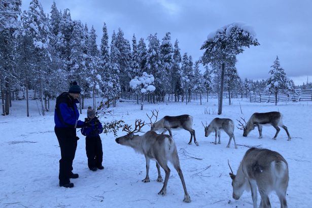 Nuestro Viaje a Laponia