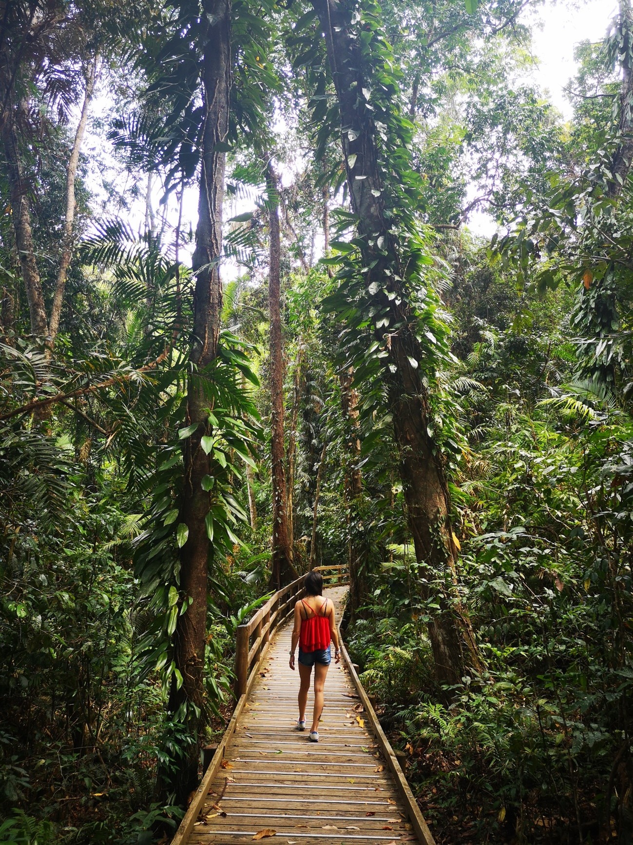 Viaje de Anne en Cairns Australia