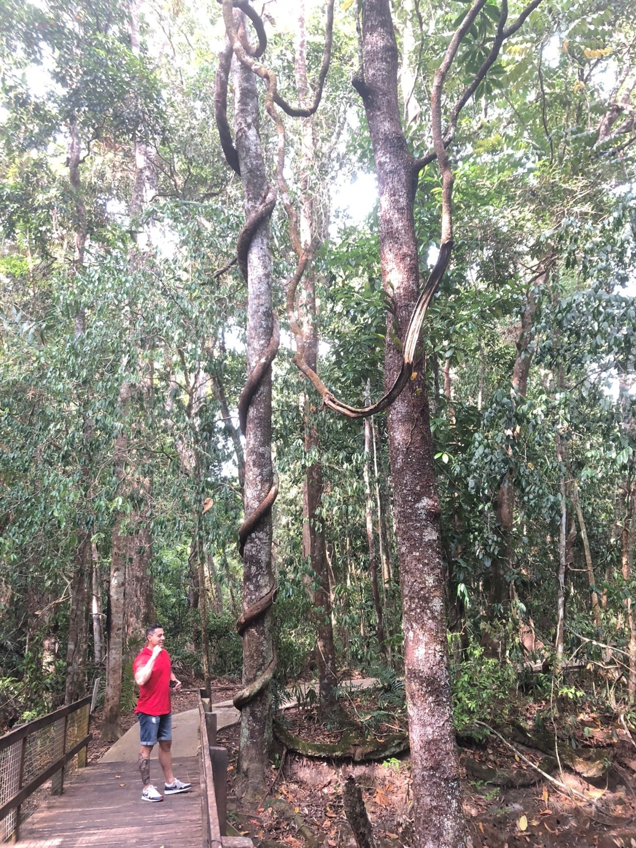 Viaje de Anne en Cairns Australia