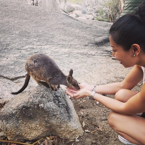 Viaje de Anne en Cairns Australia