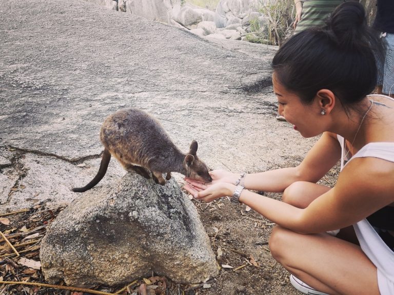 Viaje de Anne en Cairns Australia