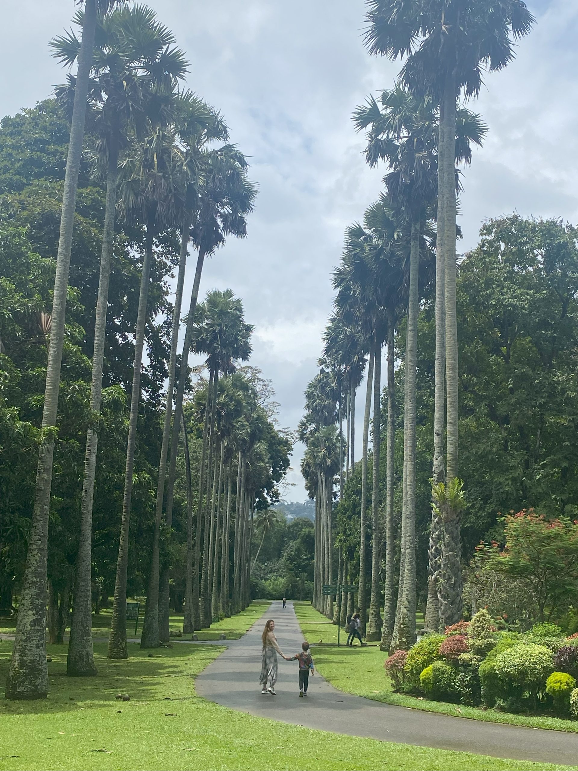 Jardines Peradeniya