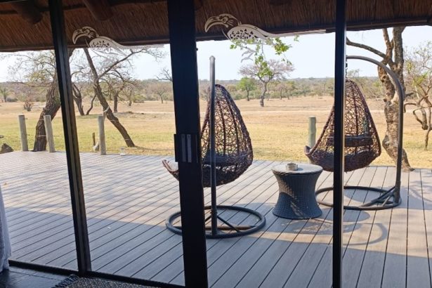 Un día en una Reserva Privada en Kruger