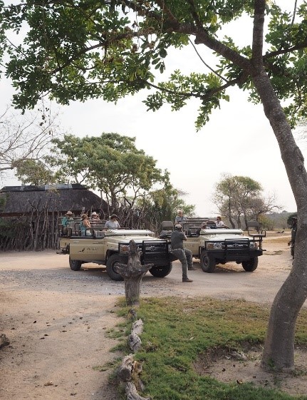 Un día en una Reserva Privada en Kruger.