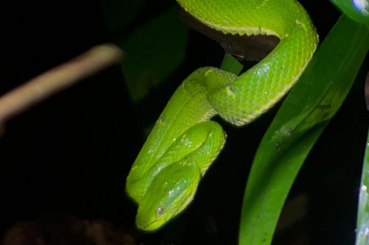 Luna de Miel en Costa Rica