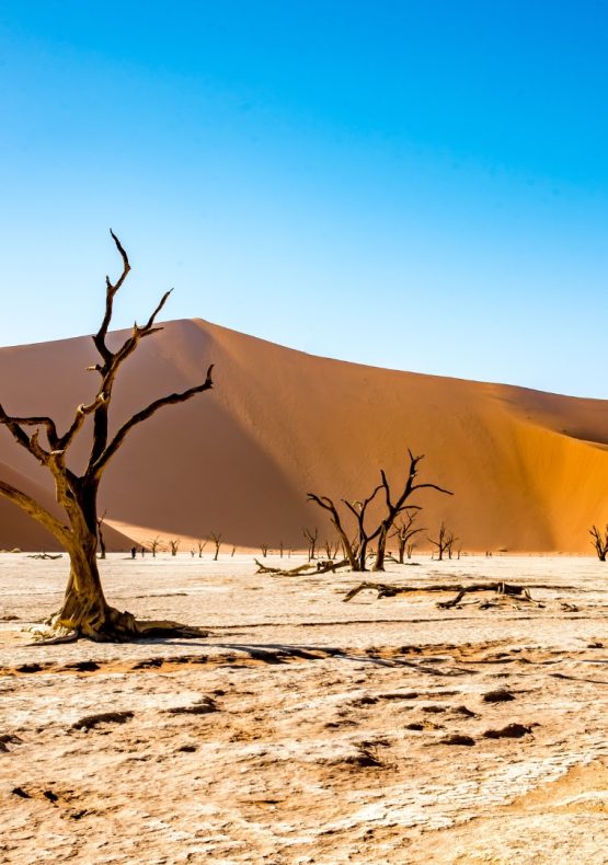 Cataratas Victoria, Self Drive en Namibia y Seychelles