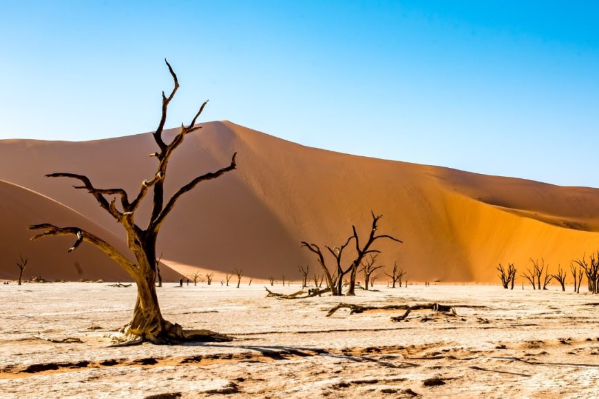 Cataratas Victoria, Self Drive en Namibia y Seychelles