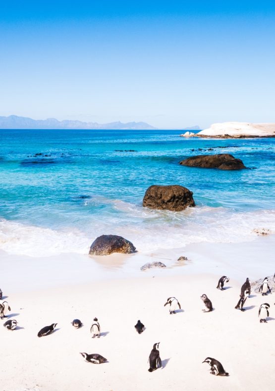 Ciudad del Cabo y Playas de Mozambique