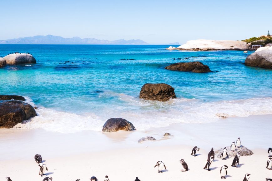Ciudad del Cabo y Playas de Mozambique