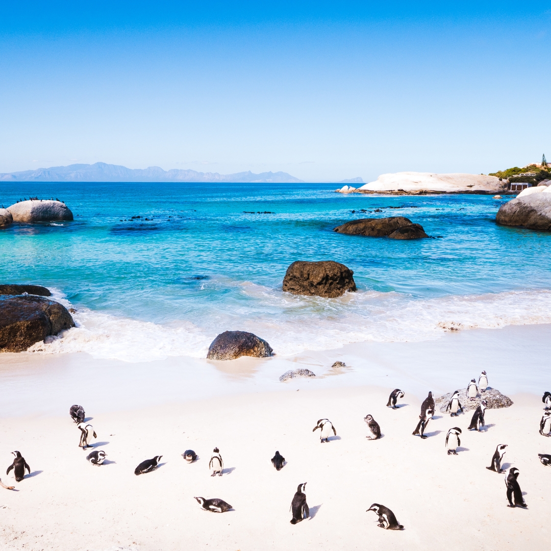 Ciudad del Cabo y Playas de Mozambique.