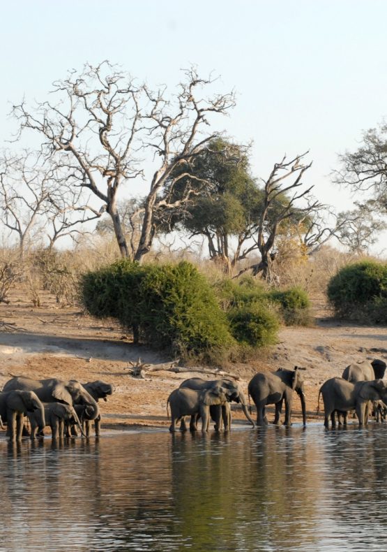 Sudáfrica Botsuana Cataratas Victoria y Mozambique