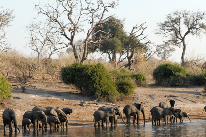 Sudáfrica Botsuana Cataratas Victoria y Mozambique