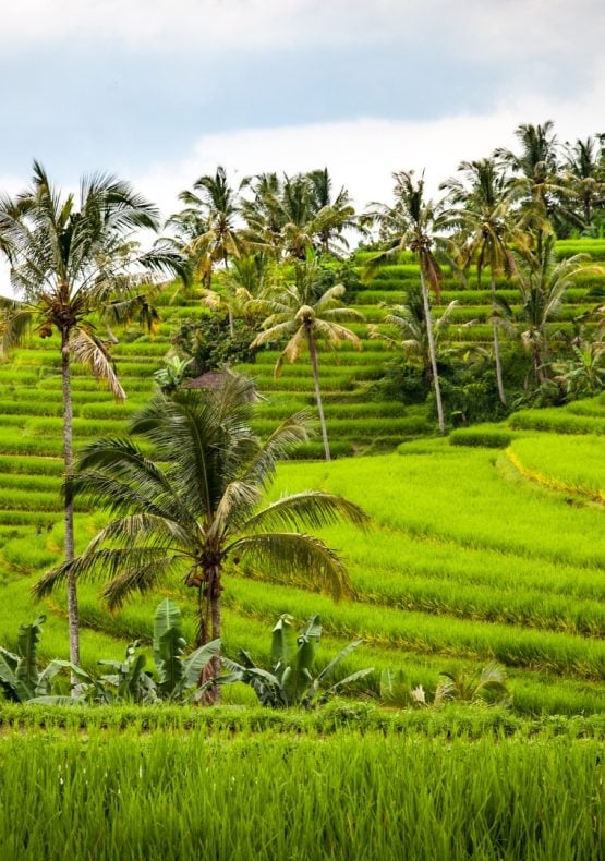 Encantos de Bali con Gili Trawangan