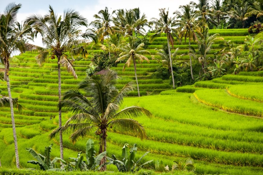 Encantos de Bali con Gili Trawangan