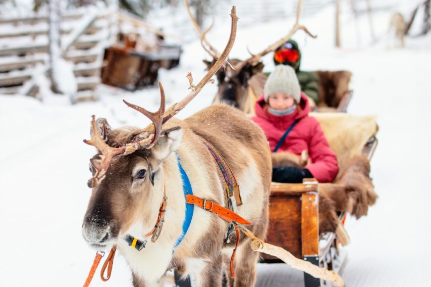 Elfo Experience, Helsinki, Rovaniemi y Salla