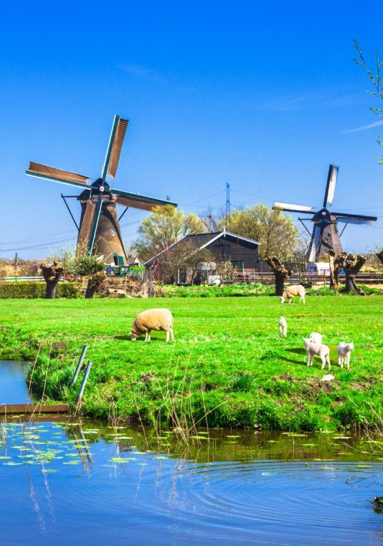 Crucero por el Rin Bélgica y Países Bajos