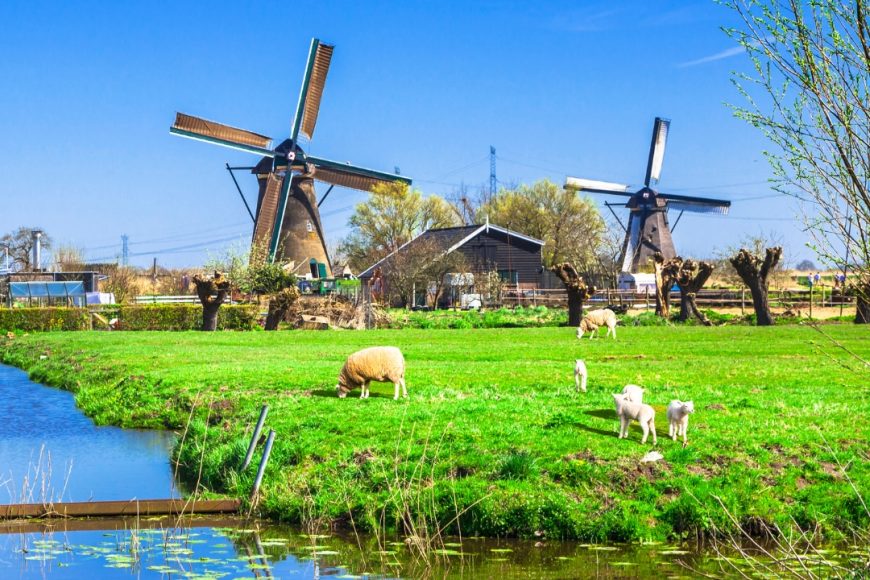 Crucero por el Rin Bélgica y Países Bajos