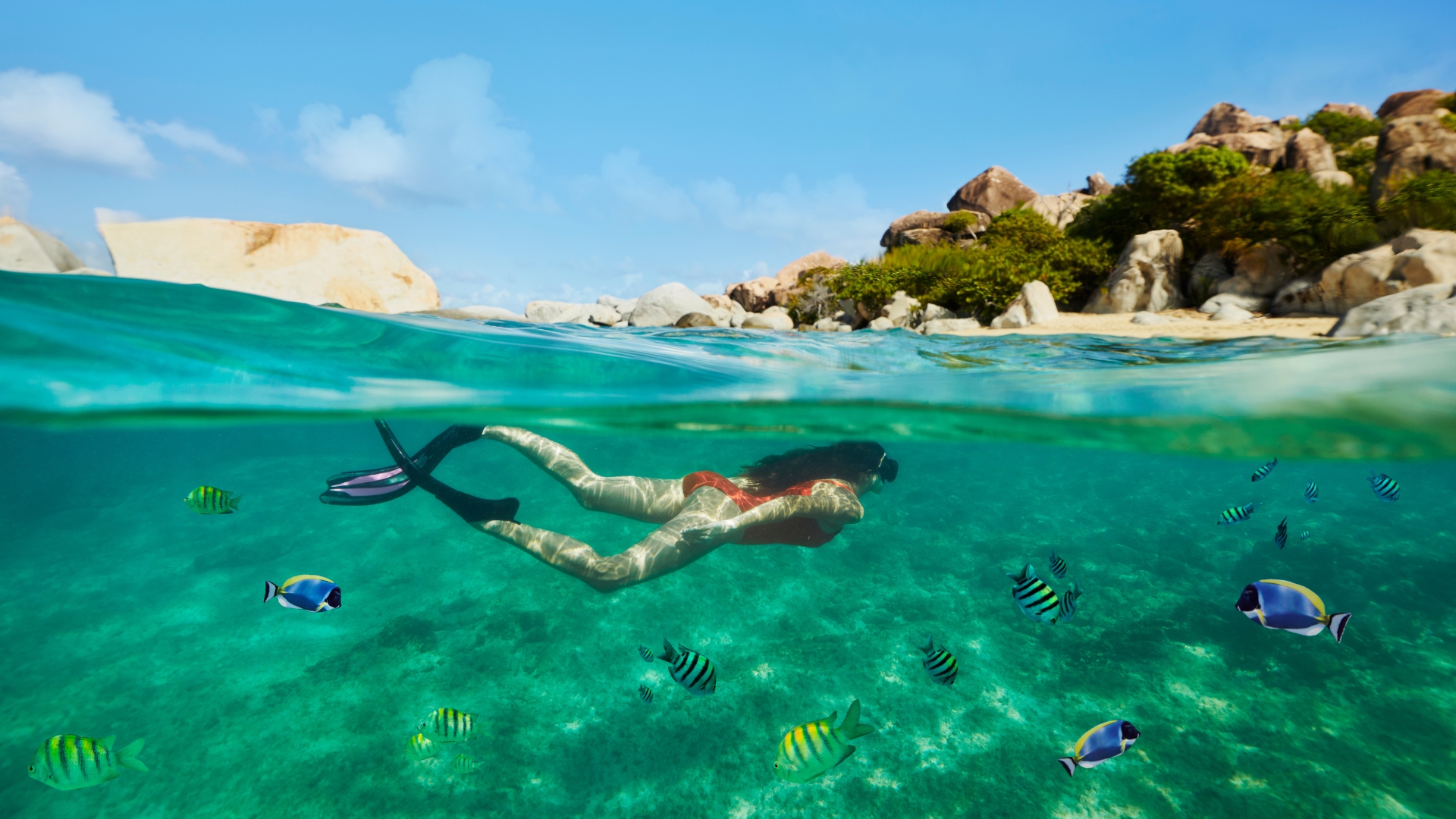 Cruceros Norwegian 2027 2028