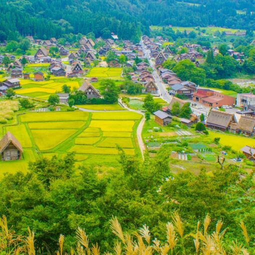 Japón Rural