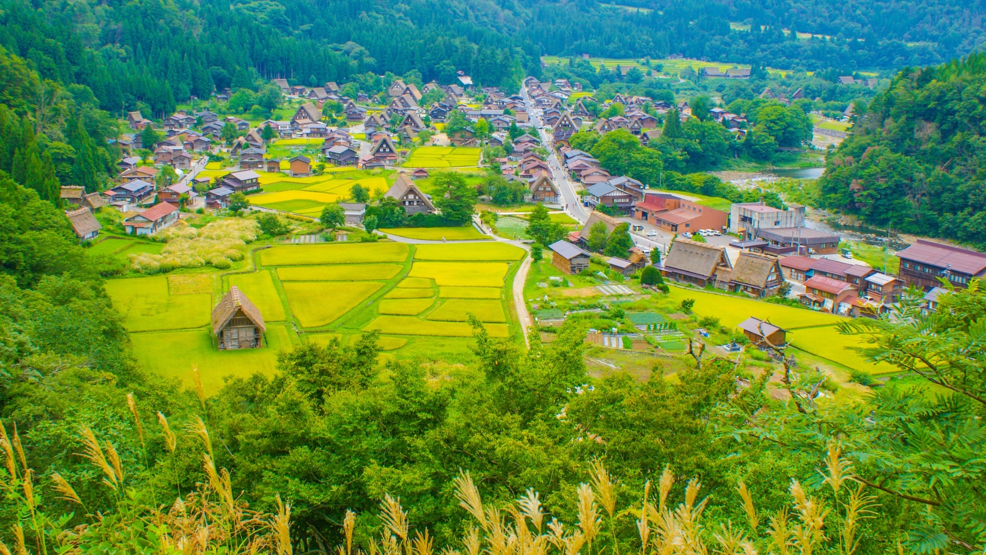 Japón Rural