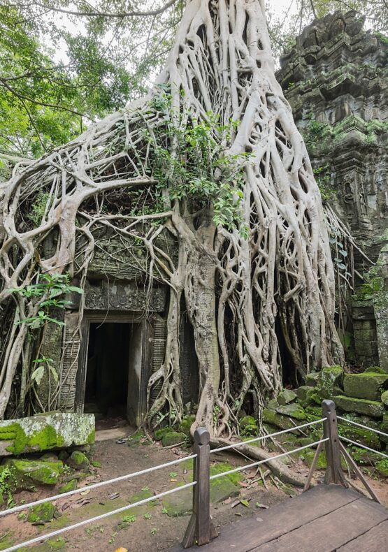 Camboya y Vietnam con Playas de Da Nang