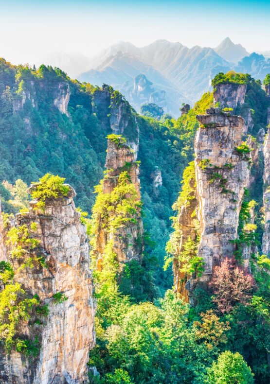 Mundo de Avatar con Fenghuang y Bali