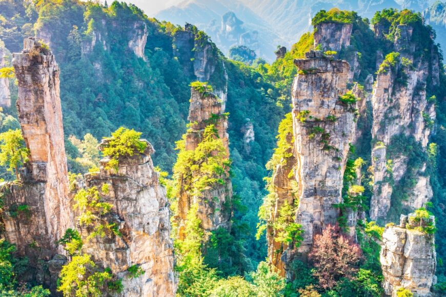 Mundo de Avatar con Fenghuang y Bali